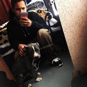 Meet your Posher, Michael